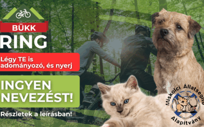 FOLYTATÓDIK AZ ADOMÁNYGYŰJTÉSI AKCIÓNK